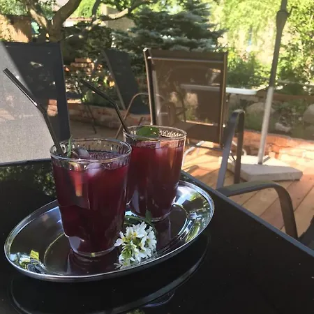 U Borovice Apartmán