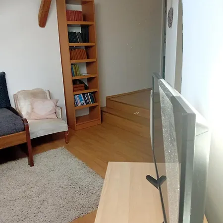 Apartamento U Borovice *