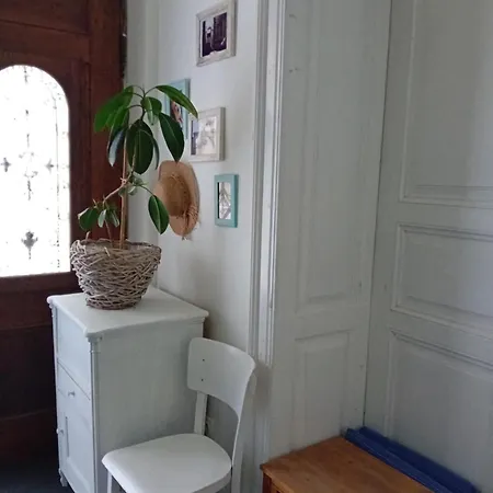 Apartamento U Borovice *