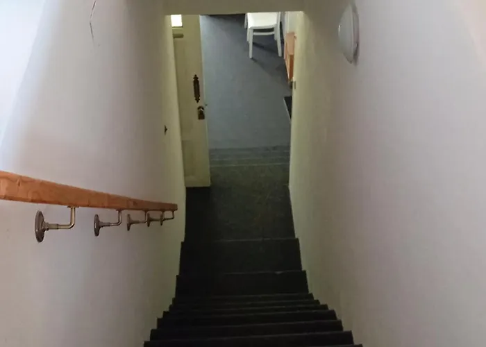 U Borovice Rychnov nad Kneznou