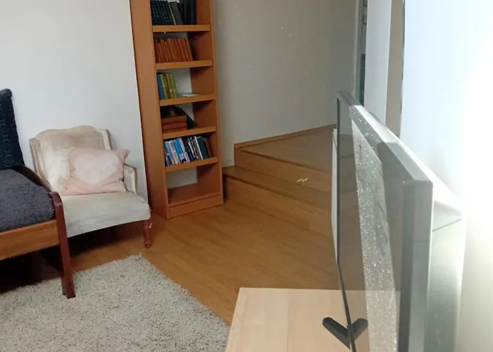 Lägenhet U Borovice *